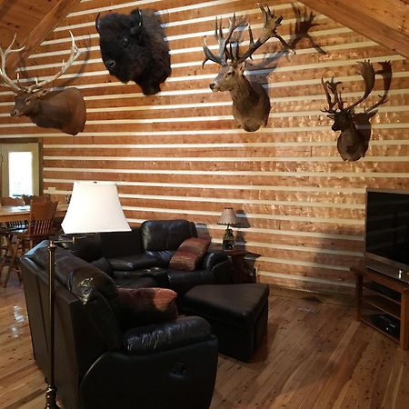 Log Home Guest House Ocklawaha 外观 照片