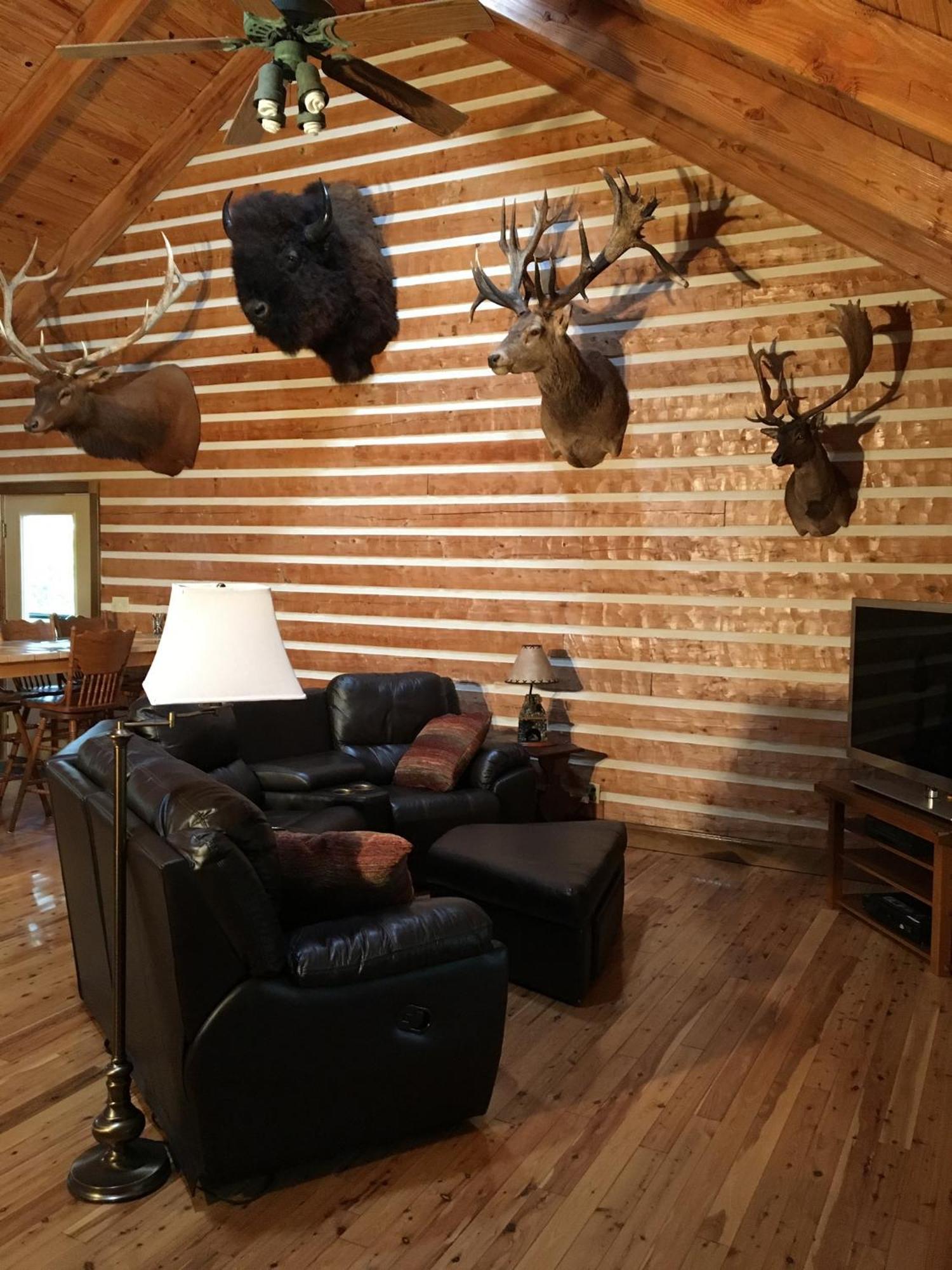 Log Home Guest House Ocklawaha 外观 照片
